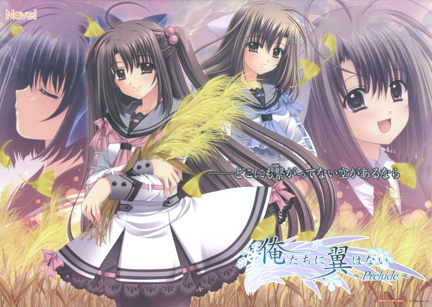 【PC/汉化】我们没有羽翼、我们没有翅膀 - 俺たちに翼はない ～Prelude～