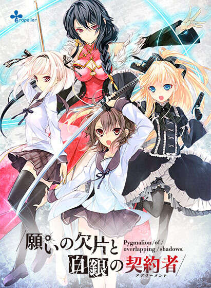 【PC/汉化】愿望的碎片与白银契约者 - 願いの欠片と白銀の契約者